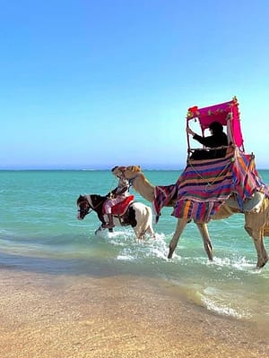 Shop Online Full Day Obhur & Beach Tour With Transfers – Recently Added Experiences Dubai Masala