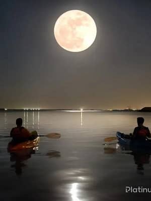 Shop Online Full moon kayak tour at louvre Abu Dhabi – Water Sports Dubai Masala
