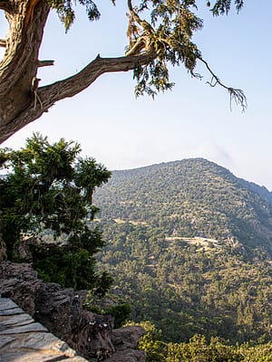 Shop Online Guided Gaithan Hike – Sightseeing and Tours Dubai Masala