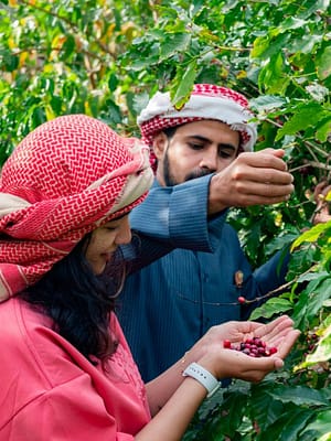 Shop Online Hike with a local coffee farmer – Recently Added Experiences Dubai Masala