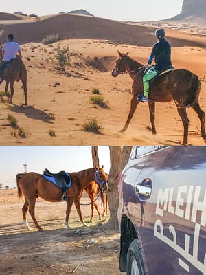 Shop Online Horse Back Riding Desert Hack – Sports Events Dubai Masala