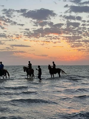 Shop Online Horse Riding in Jeddah – Experiences Dubai Masala