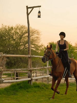 Shop Online Horse Riding with Open Buffet Dinner & Shows – Desert safaris Dubai Masala