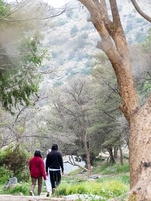Shop Online In Hike to the Ain Jamal Waterfall – Recently Added Experiences Dubai Masala
