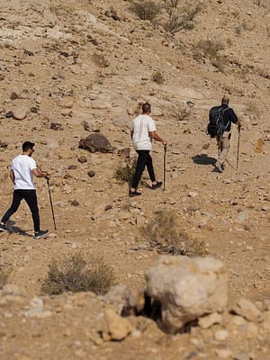 Shop Online Jebel Buhais Tour – Top-Rated Attractions Dubai Masala