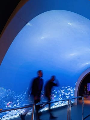 Shop Online Marassi Aquarium & Underwater Zoo Tickets – Top-Rated Attractions Dubai Masala