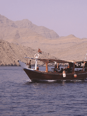 Shop Online Muscat Dolphin Cruise With Shared Transfers – Recently Added Experiences Dubai Masala