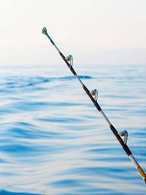 Shop Online Private fishing boat tour – Sightseeing and Tours Dubai Masala