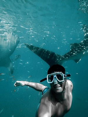 Shop Online Private group Boating Experience with Dolphins Watching & Snorkeling – Sightseeing and Tours Dubai Masala