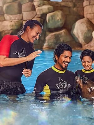 Shop Online Sea Lion Experiences at Atlantis The Palm – Water Parks Dubai Masala
