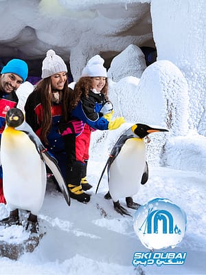 Shop Online Ski Dubai: Snow Premium with Penguin Encounter + Free Al Shindagha Museum Ticket – Must-see attractions Dubai Masala