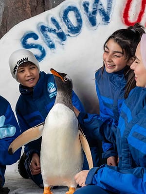 Shop Online Snow Oman – Top-Rated Attractions Dubai Masala