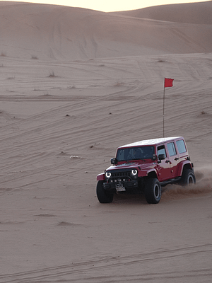 Shop Online Storm adventure – Safari trip – Top-Rated Attractions Dubai Masala