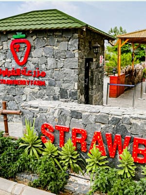 Shop Online Strawberry Farm – Top-Rated Attractions Dubai Masala