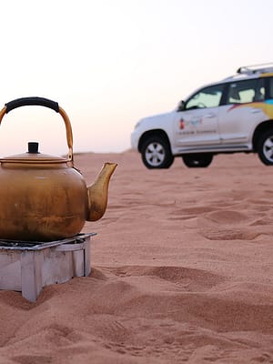 Shop Online Sunrise and Wildlife Experience in the Desert – Desert safaris Dubai Masala