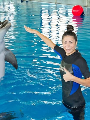 Shop Online Swimming With Dolphins – Dubai Dolphinarium – Dubai Dolphinarium Dubai Masala