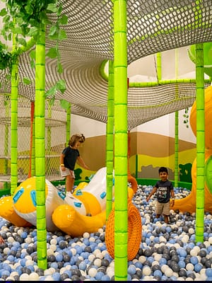 Shop Online TR88HOUSE: Munchkin Monster – Experiences Dubai Masala