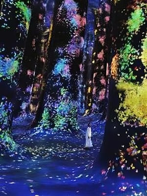 Shop Online TeamLab Phenomena Abu Dhabi – Museums Dubai Masala