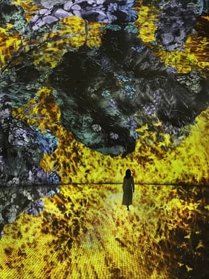 Shop Online TeamLab Phenomena + Louvre Abu Dhabi – Combo – Recently Added Experiences Dubai Masala