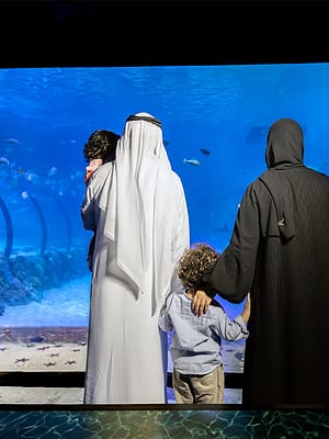 Shop Online The National Aquarium Abu Dhabi – Experiences Dubai Masala