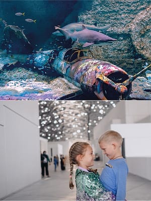 Shop Online The National Aquarium + Louvre Abu Dhabi – Combo – Combos and more adventures Dubai Masala