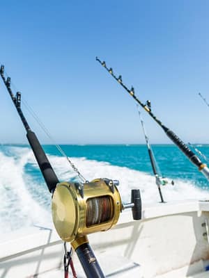 Shop Online Trolling in Ocean for Big Fish – Top-Rated Attractions Dubai Masala