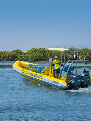 Shop Online 45-minute Yas Experience Abu Dhabi Sightseeing Boat Tour – Boat Tours and Cruises Dubai Masala