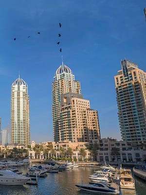 Shop Online Dubai Full Day Tour – Attractions Special Offers Dubai Masala