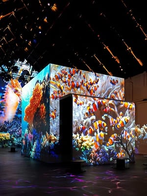Shop Online Fabrique des Lumières: The Sea – Recently Added Experiences Dubai Masala