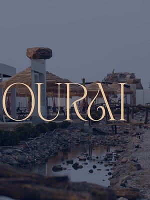 Shop Online Nourai in Abha – Festival Dubai Masala