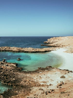 Shop Online Private group tour of Daymaniyat Islands – Sightseeing and Tours Dubai Masala