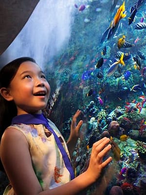 Dubai Masala Dubai's Desi Masala News, Gossips, Photos, Party Pics, Events and more Aquaventure Waterpark + Lost Chambers Aquarium at Aquaventure Waterpark, Dubai, United Arab Emirates Shop Online Aquaventure Waterpark + Lost Chambers Aquarium at Aquaventure Waterpark, Dubai, United Arab Emirates Dubai Masala