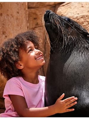 Dubai Masala Dubai's Desi Masala News, Gossips, Photos, Party Pics, Events and more Atlas Village – Sea Lion Experiences at Atlantis The Palm, Dubai, United Arab Emirates Shop Online Atlas Village – Sea Lion Experiences at Atlantis The Palm, Dubai, United Arab Emirates Dubai Masala