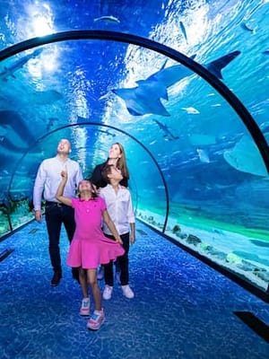 Dubai Masala Dubai's Desi Masala News, Gossips, Photos, Party Pics, Events and more Combo: The National Aquarium Abu Dhabi & The Pixoul Gaming. at The National Aquarium Abu Dhabi, Abu Dhabi, United Arab Emirates Shop Online Combo: The National Aquarium Abu Dhabi & The Pixoul Gaming. at The National Aquarium Abu Dhabi, Abu Dhabi, United Arab Emirates Dubai Masala