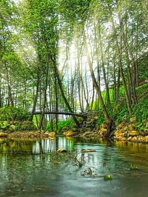 Dubai Masala Dubai's Desi Masala News, Gossips, Photos, Party Pics, Events and more Daily Sapanca and Masukiye Tour: Full-Day Trip From Istanbul – Sightseeing and Tours Shop Online Daily Sapanca and Masukiye Tour: Full-Day Trip From Istanbul – Sightseeing and Tours Dubai Masala