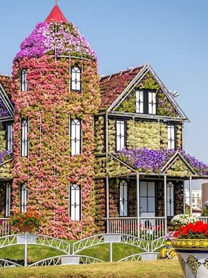 Dubai Masala Dubai's Desi Masala News, Gossips, Photos, Party Pics, Events and more Dubai Miracle Garden at Dubai Miracle Garden, Dubai, United Arab Emirates Shop Online Dubai Miracle Garden at Dubai Miracle Garden, Dubai, United Arab Emirates Dubai Masala