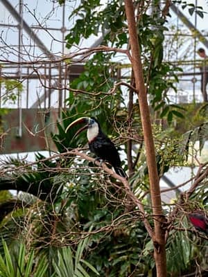 Dubai Masala Dubai's Desi Masala News, Gossips, Photos, Party Pics, Events and more Green Planet: Dubai’s Indoor Rainforest – Skip The Line at The Green Planet, Dubai, United Arab Emirates Shop Online Green Planet: Dubai’s Indoor Rainforest – Skip The Line at The Green Planet, Dubai, United Arab Emirates Dubai Masala