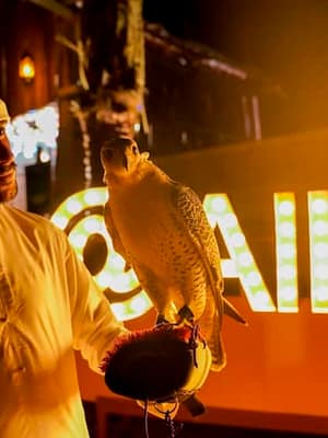 Dubai Masala Dubai's Desi Masala News, Gossips, Photos, Party Pics, Events and more Premium Desert Safari: Camel Ride, Falconry, and BBQ Dinner at Dubai Mall, Dubai, United Arab Emirates Shop Online Premium Desert Safari: Camel Ride, Falconry, and BBQ Dinner at Dubai Mall, Dubai, United Arab Emirates Dubai Masala