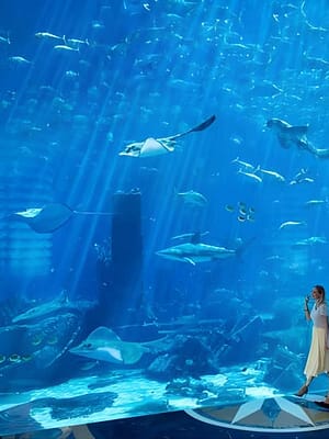 Dubai Masala Dubai's Desi Masala News, Gossips, Photos, Party Pics, Events and more Skip the Line: Lost Chambers Entry at Atlantis The Palm Ticket at The Lost Chambers Aquarium, Dubai, United Arab Emirates Shop Online Skip the Line: Lost Chambers Entry at Atlantis The Palm Ticket at The Lost Chambers Aquarium, Dubai, United Arab Emirates Dubai Masala