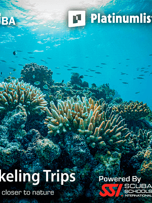 Dubai Masala Dubai's Desi Masala News, Gossips, Photos, Party Pics, Events and more Snorkeling Daily Trips in Jeddah – Attractions Special Offers Shop Online Snorkeling Daily Trips in Jeddah – Attractions Special Offers Dubai Masala