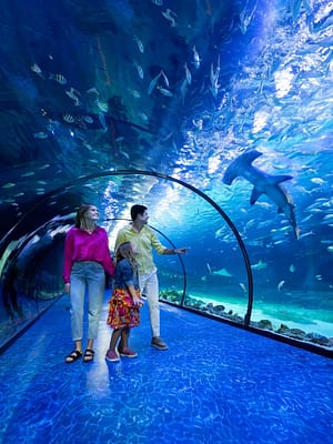 Dubai Masala Dubai's Desi Masala News, Gossips, Photos, Party Pics, Events and more The National Aquarium Abu Dhabi – Experiences Shop Online The National Aquarium Abu Dhabi – Experiences Dubai Masala