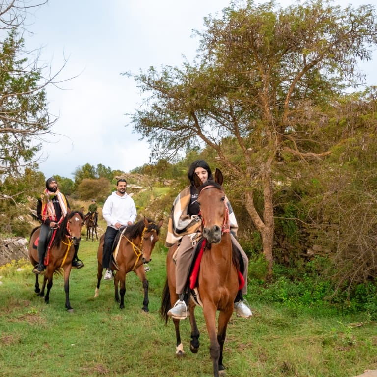 Shop Online Horse Riding Experience – Recently Added Experiences Dubai Masala 3